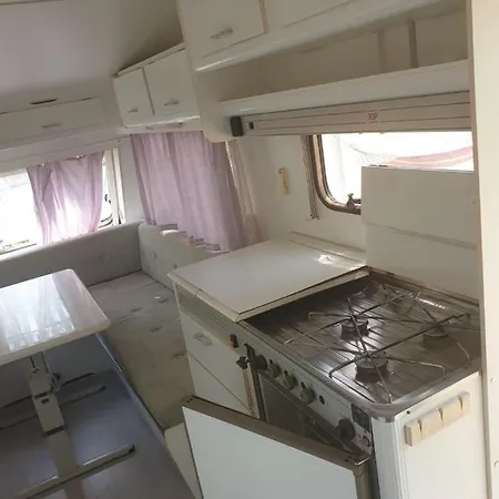 Campsite Aquariumi Jale *