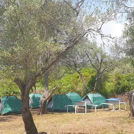 Campsite Aquariumi Jale