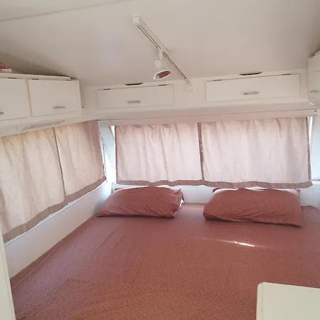 Aquariumi Jale Campsite *