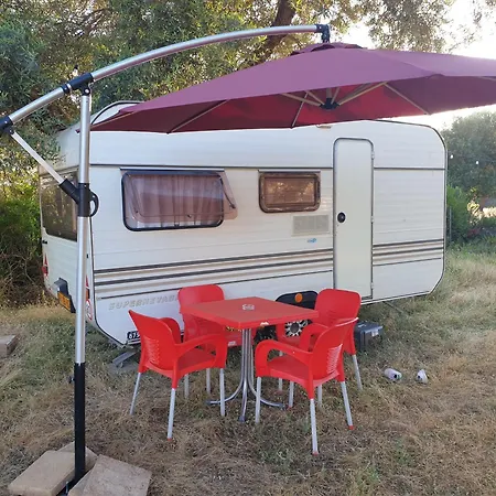 Campsite Aquariumi Jale