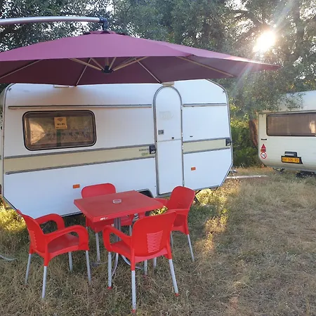 Campsite Aquariumi Jale Jal