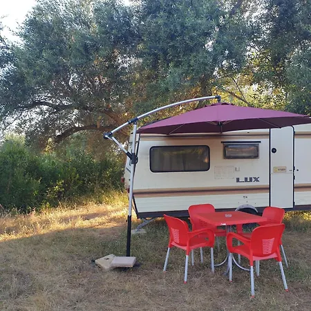 Campsite Aquariumi Jale *