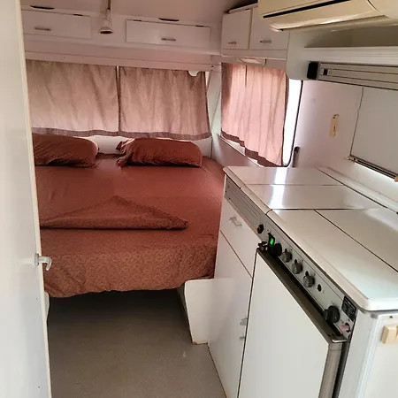 Aquariumi Jale Camping *