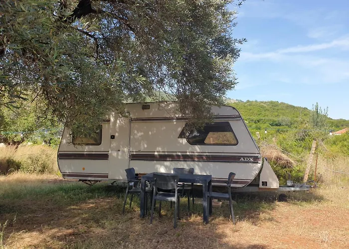 Aquariumi Jale * Jal