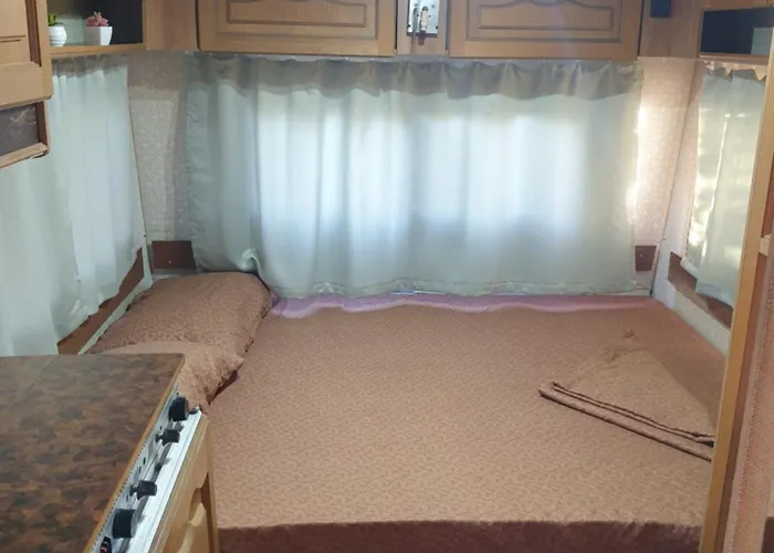 Aquariumi Jale * Jal