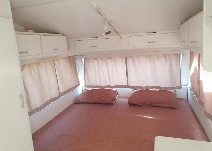 Aquariumi Jale Campingplads *