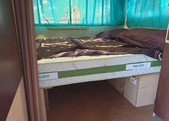 Aquariumi Jale Kamp alanı *