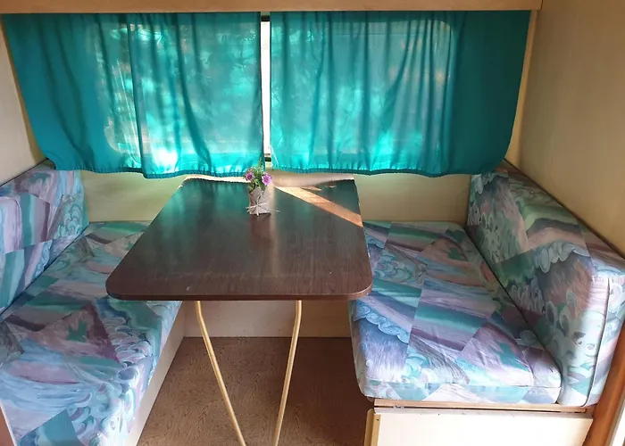 Aquariumi Jale * Jal