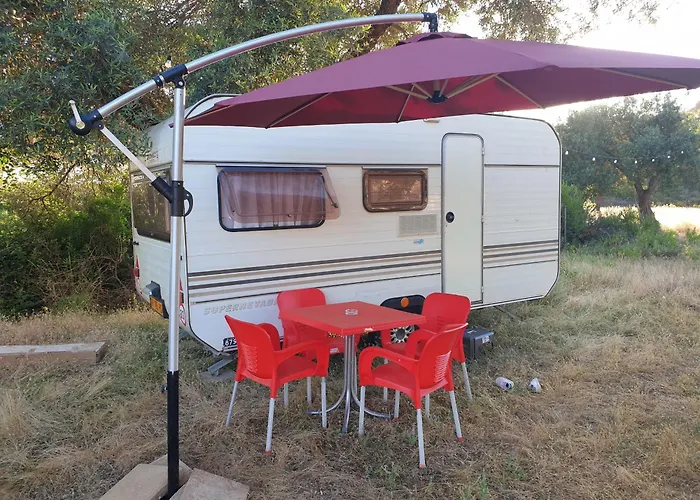 Kamp alanı Aquariumi Jale