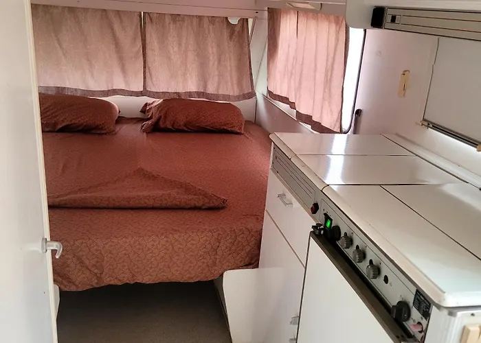 Aquariumi Jale Kamp alanı *