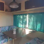 Aquariumi Jale Jal