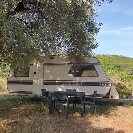 Aquariumi Jale * جال