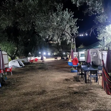 Aquariumi Jale * Jal