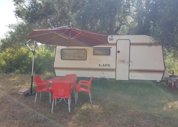 Kamp alanı Aquariumi Jale *