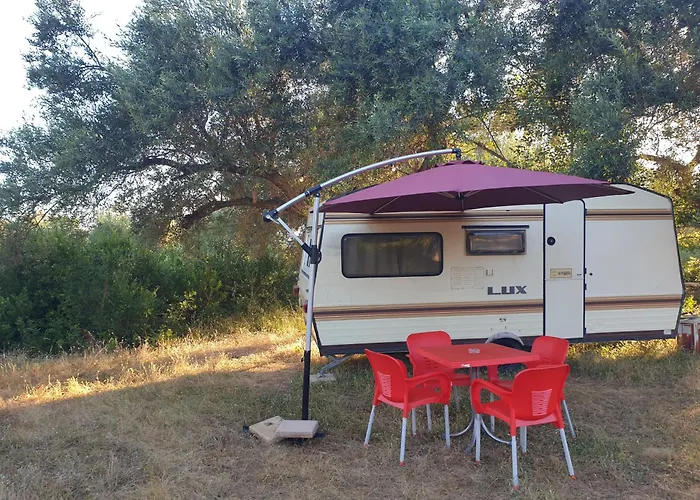 Camping Aquariumi Jale *